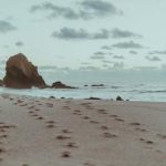 利来娱乐的注册流程详解,助你快速体验精彩游戏 13996y7