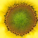 凯发平台用户评价与反馈,真实体验分享助你决策参考 3hfza1