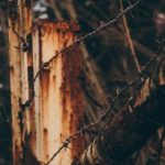 加入j9九游会交流论坛,畅谈游戏体验与最新动态 47h51z