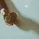 凯发娱乐平台的安全性与用户体验:你需要知道的事项 ag5wgh