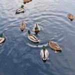 利达平台的用户体验:从注册到使用的全流程解析 bliniuyj