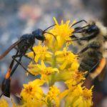 利澳平台:如何通过创新技术提升用户体验与交易效率 by7k8