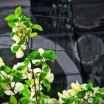 凯时娱乐网址的用户评价与口碑分析:真实反馈分享 qa3up5g