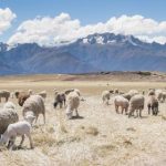 加入如意坊平台,体验全新的商业合作方式 ze8ohhni3