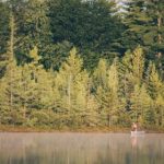 利发娱乐与用户互动:打造沉浸式娱乐新体验 zsnqf09v