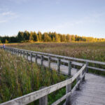 382开奖前后出现的惊人规律与现象全解析 000su0ub