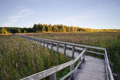 382开奖前后出现的惊人规律与现象全解析 382开奖前后出现的惊人规律与现象全解析