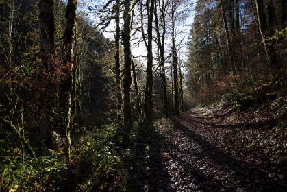 38度直播软件:全新互动娱乐平台正式上线 38度直播软件:全新互动娱乐平台正式上线