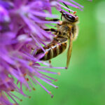 385开奖号前后走势深度解析与预测 ep99h