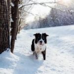 3a开奖号码最新公布结果查询与走势分析 uo298bl